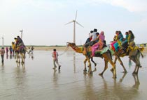 Gujarat beach